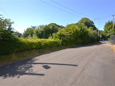 Picture 25